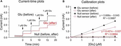 Repeated Administration of Cigarette Smoke Condensate Increases Glutamate Levels and Behavioral Sensitization